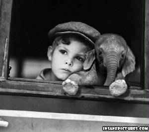 kid_elephant.jpg
