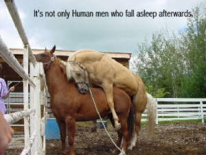 wacky-animals-blooper.jpg