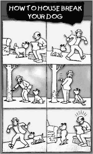 dog.jpg