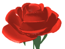 spinningrose3.gif